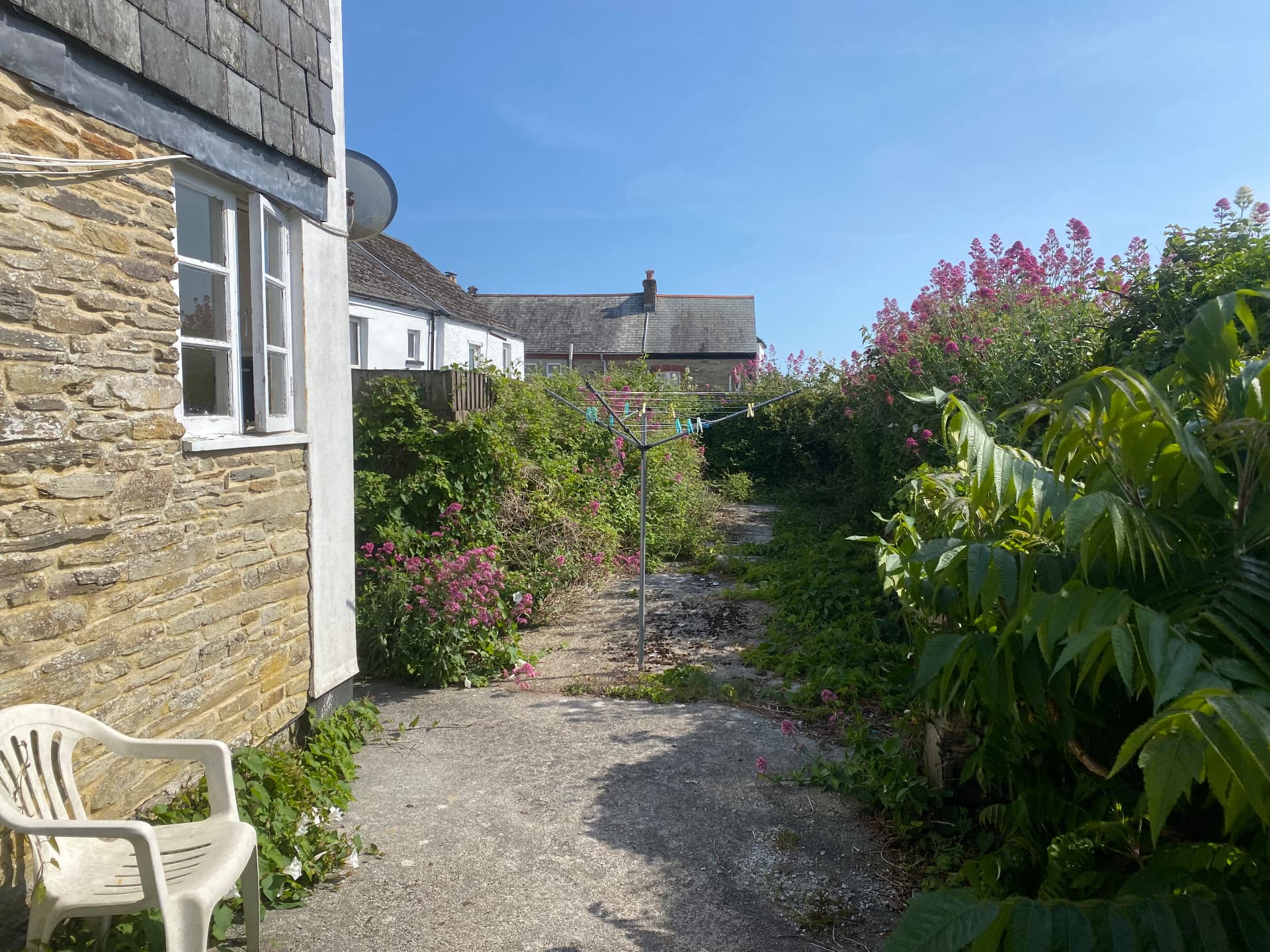 Heavily overgrown garden and pathway at a stone property before clearance in South East Cornwall