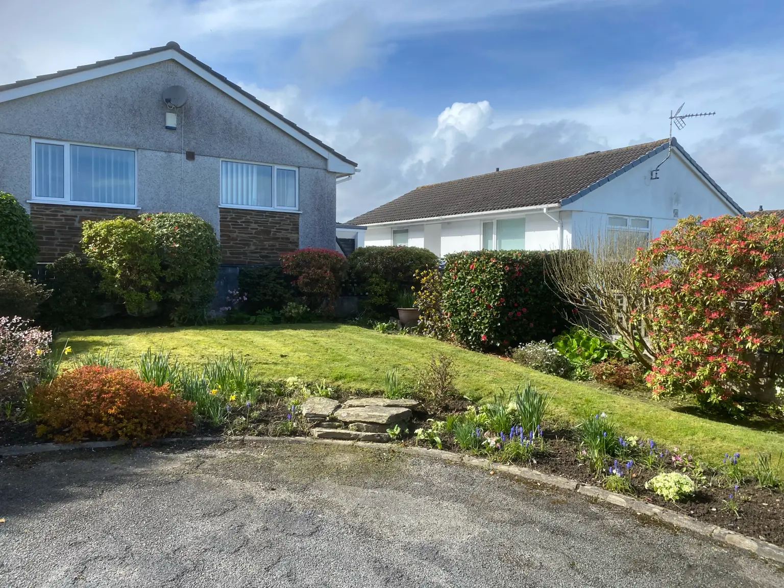 Professional garden maintenance and border care in South East Cornwall