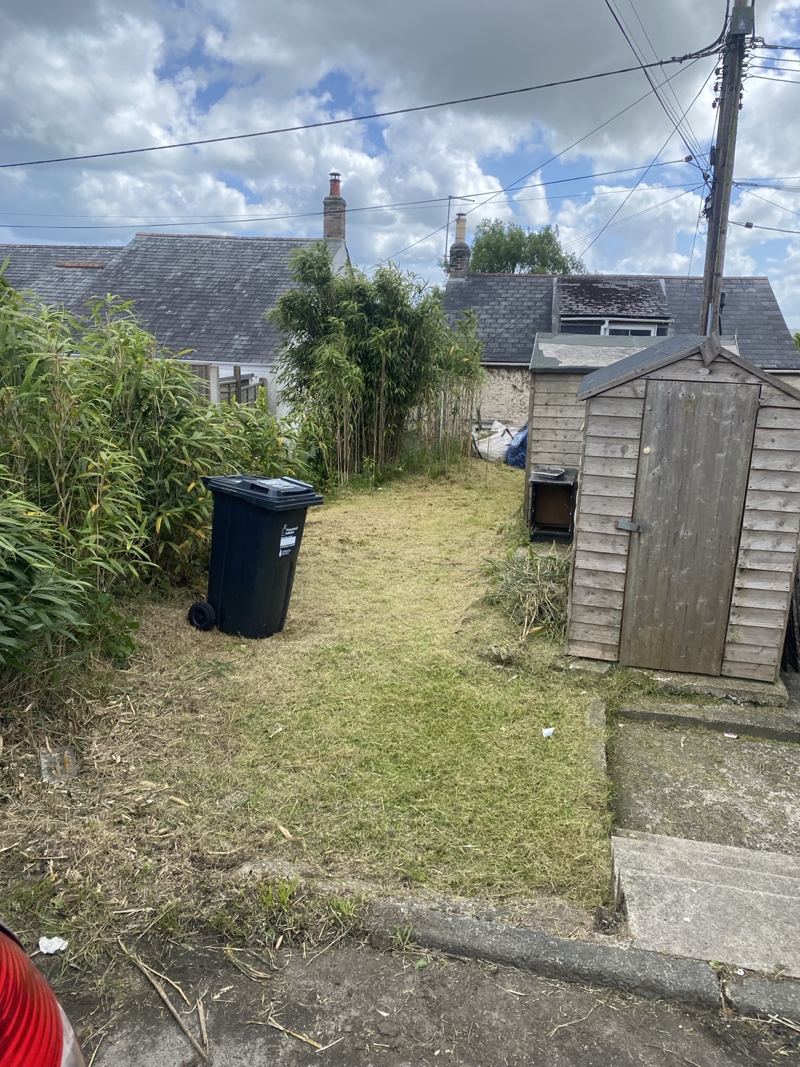 Overgrown garden area before clearance in South East Cornwall