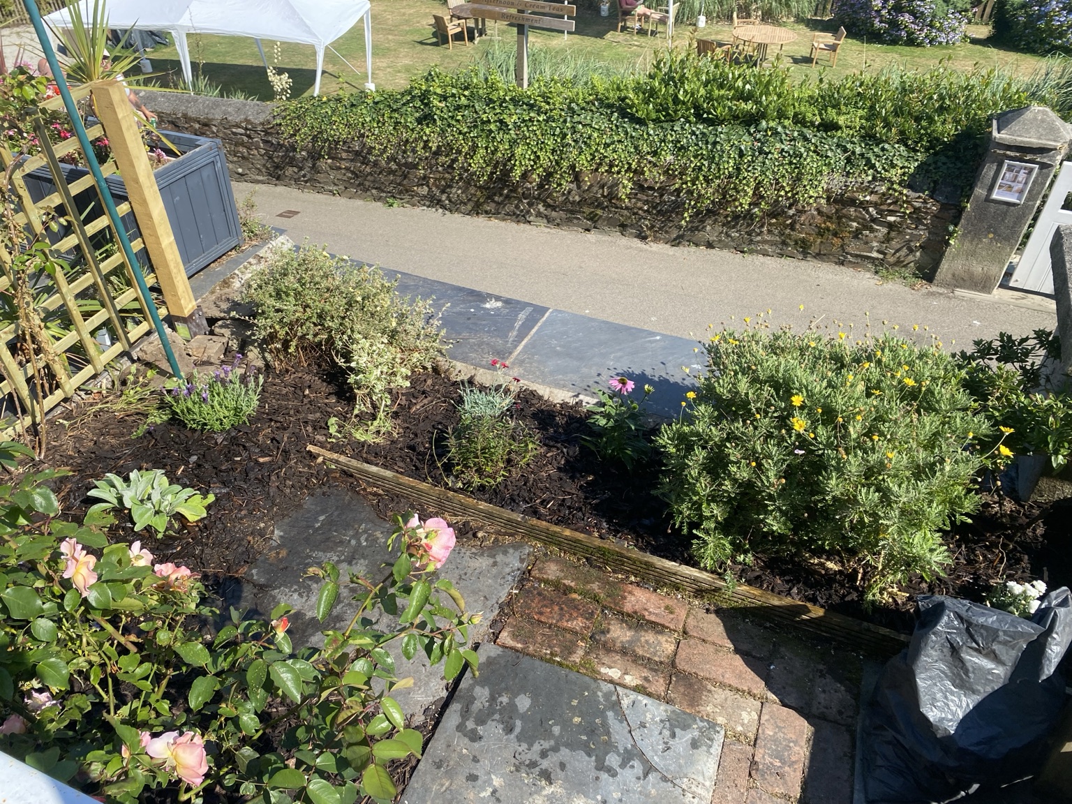 Prepared and replanted garden bed in South East Cornwall