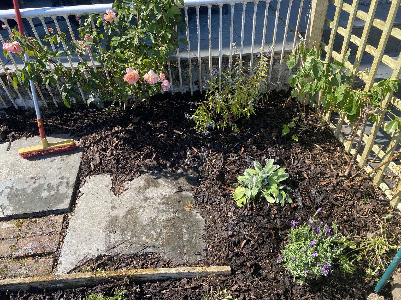 Weeded, edged and mulched garden border in South East Cornwall